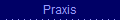 Praxis
